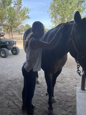 Stacey Turner Training Stables Riding School