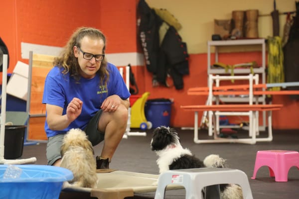 Jeff working with a dog in training.