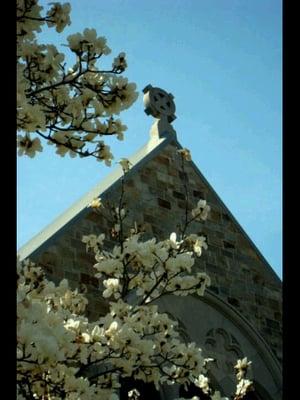 First Presbyterian Church