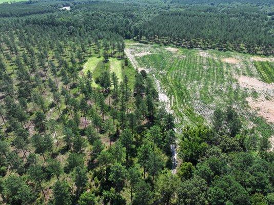 Diversity on the landscape allows, you the landowner to be able to maximize the quality of your habitat on your property.