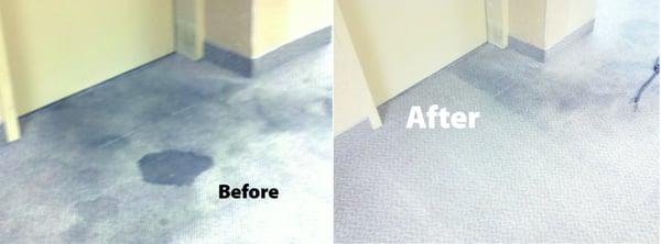 Professional Carpet Cleaning Services