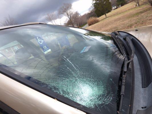 Windshield broken on front right side, deer ran ot in front of me.