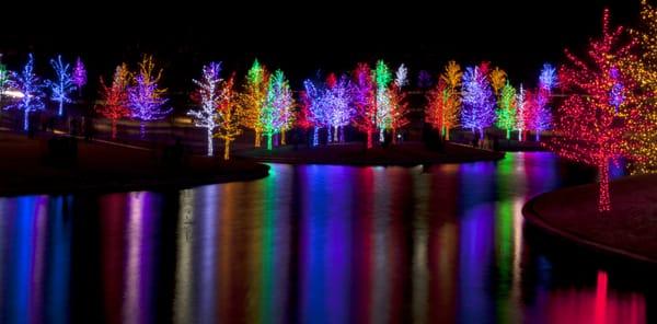 Christmas Lights in Dallas