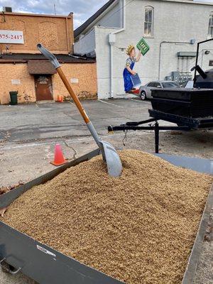 Spent grain picked up by a farmer