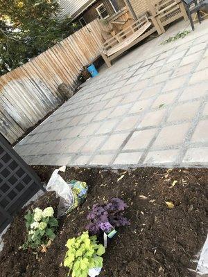 Concrete paver and garden install