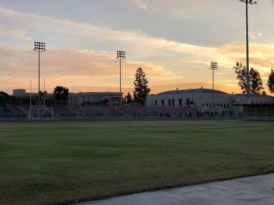 Softball/baseball field & stadium