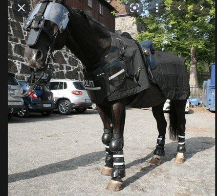 Police horse riot gear. This outfit is protect the horse from injury.