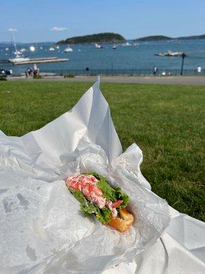 Lobster roll and blueberry pie in photos (it's a set for roughly 35 bucks and a small clam chowder) this restaurant has it all