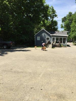 Come down our driveway and park in the back.  Lots of parking and an easy-access ramp.