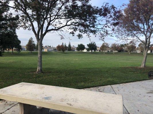 Large grassy area with some big trees for shade in summer.