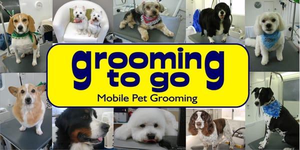 Grooming To Go Mobile Pet Grooming