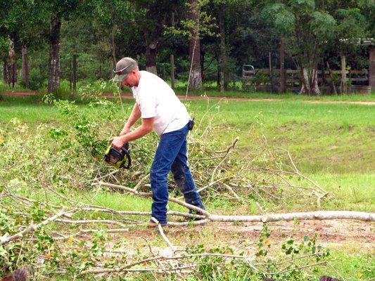 Tree Removal in Pensacola, Florida.