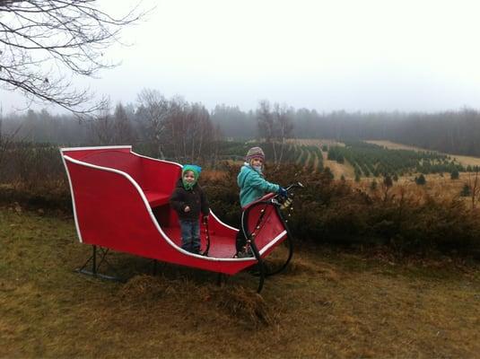 Great Red Sleigh for Photo Opportunity.