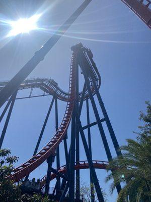 Sheikra