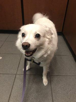 Emma loves the elevator!