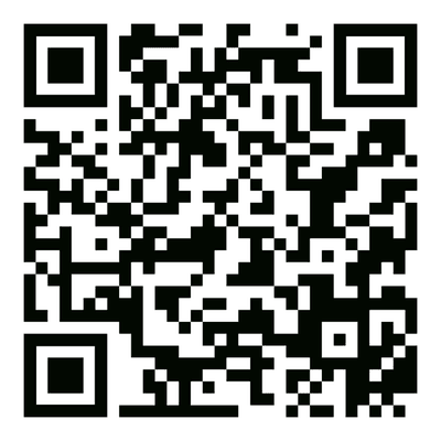 Scan for website