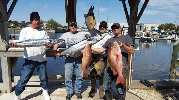 Great Blue Water Trip  2/29/26 Wahoo, Mutton Snapper, Mangrove, Trigger Queen and limit on Gray Triggers