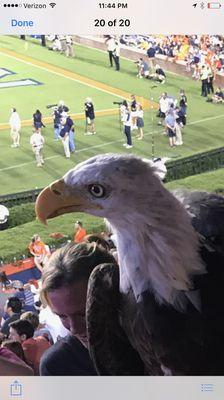 Fly to Auburn to watch the big game. War Eagle!