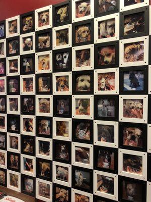 photo wall