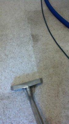 Carpet Cleaning