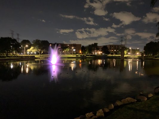 Lakeside Condominium Association D Pond at night