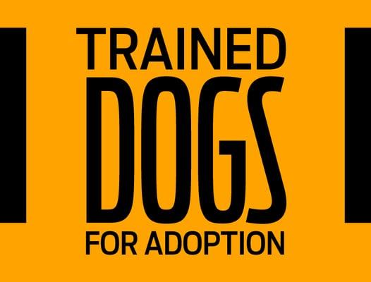 Trained Dogs for Adoption