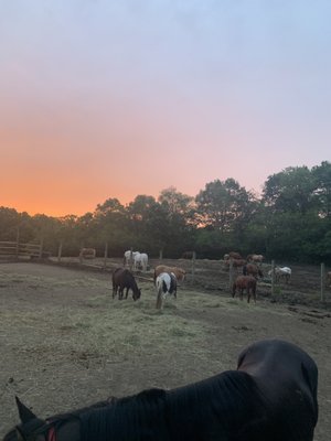 Chain O Lakes Stable