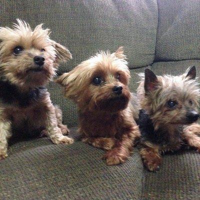 Annie, Miss Lucie and Willie.