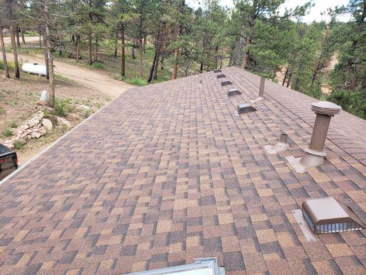 Asphalt Shingle Roof Installation