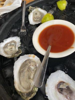 Amazing, fresh, Oysters!