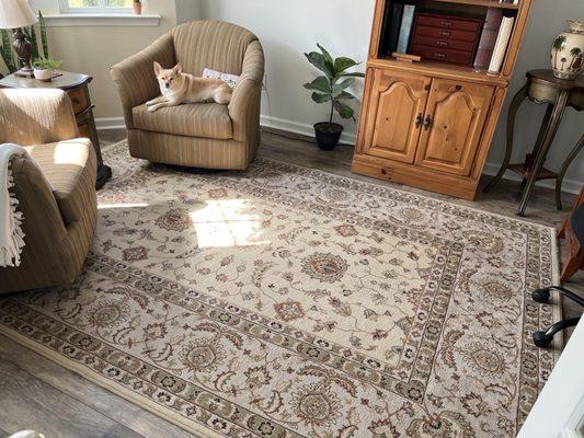 Oriental area rug