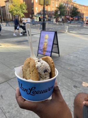 Cookies and Cookies Cream ice cream sandwich