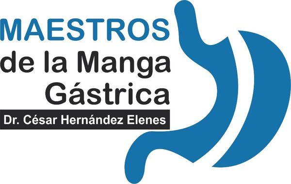 Maestros De La Manga Gastrica