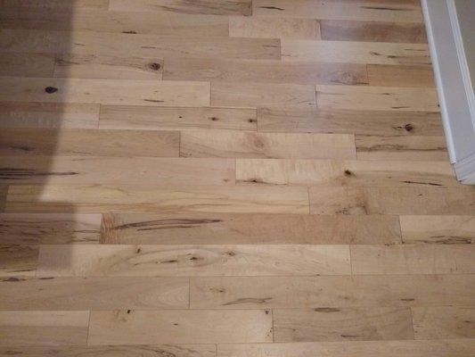 Rustic maple hardwood