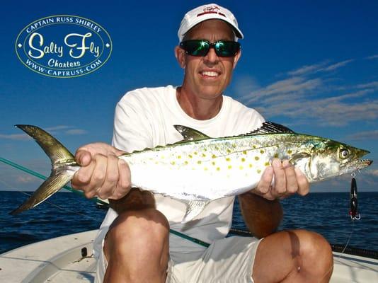 Large Spanish Mackerel caught fishing light tackle on board the 'Salty Fly' during a great fall season here in St. Petersburg.