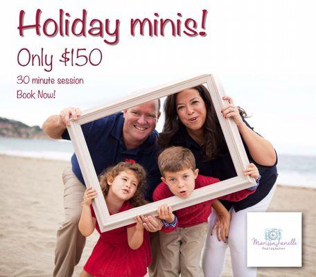 Holiday mini sessions! Great deal