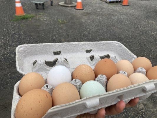 Delicious free range eggs