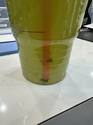 Kiwi Refresher With Green Tea. Notice the green fuzzy objects on the bottom and on the straw