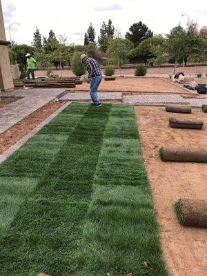 Green green sod!