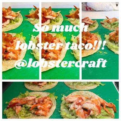 Oh yeah Lobster Tacos!