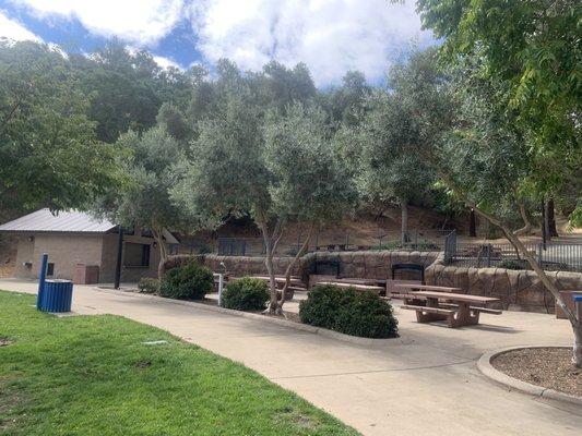 Olive grove picnic/bbq area