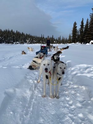 Alaskiwi Adventures