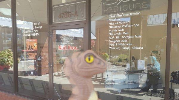 Bob the Raptor Says "Mammals come here to get their claws sharpened."