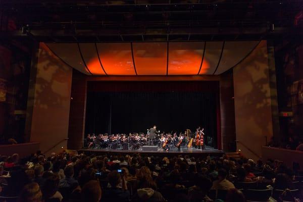 All 7 of DCYOP's ensembles perform at professional venues in Washington