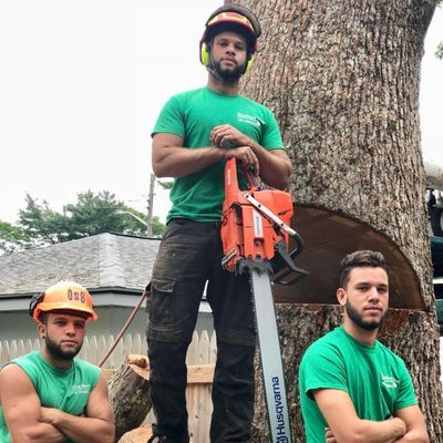 Brothers Tree Service and Landscape