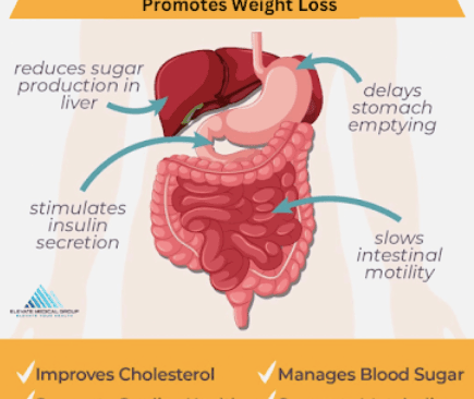 Elevate Medical Group Weight Loss Service Company in Henderson, NV.