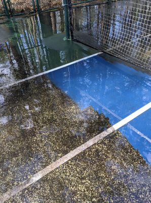 AM PM Pressure Washing