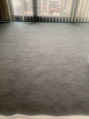 Ninja Carpet and Rug Cleaning