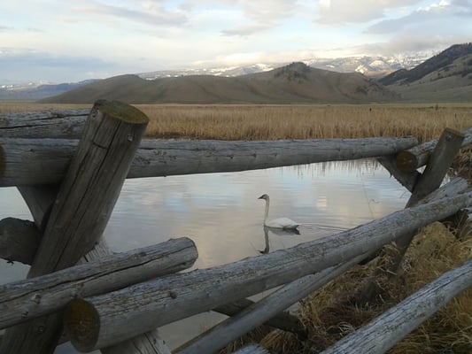 Jackson, WY