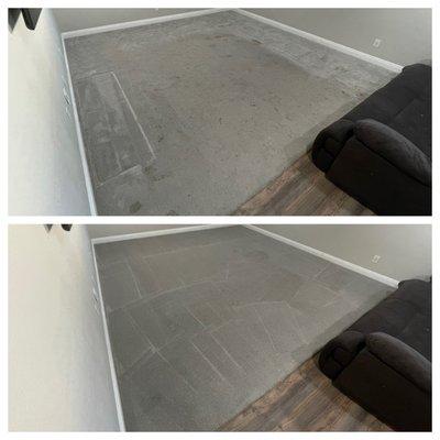 Steam cleaning carpet gets the best results